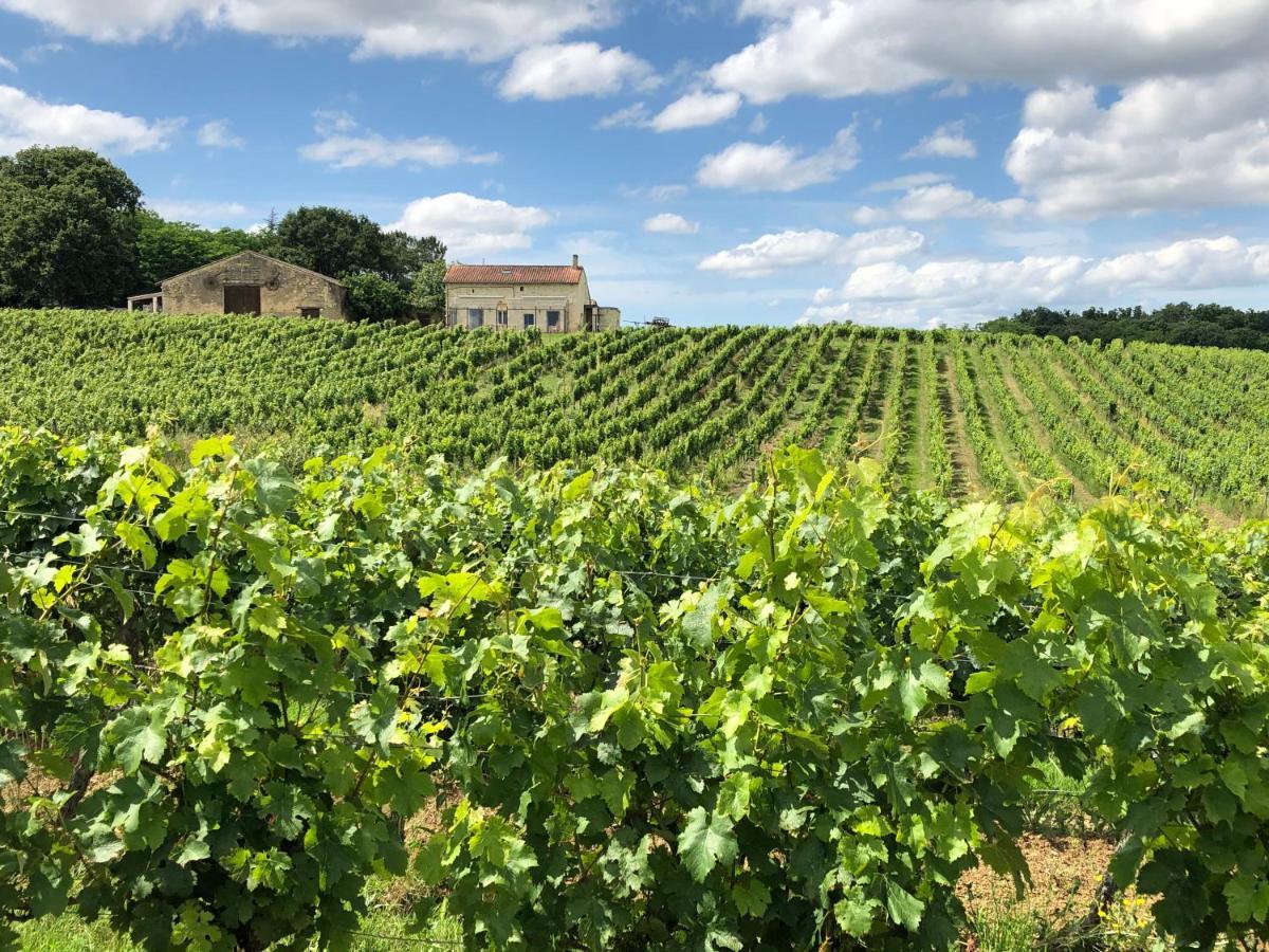 Chateau Le Truch Montussan Ngoại thất bức ảnh